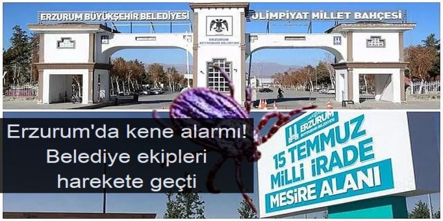 Erzurum'da kene alarmı!