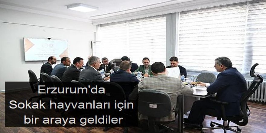 Sokak hayvanları için bir araya geldiler