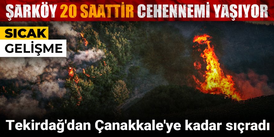 Tekirdağ ve Çanakkale'de orman yangını!