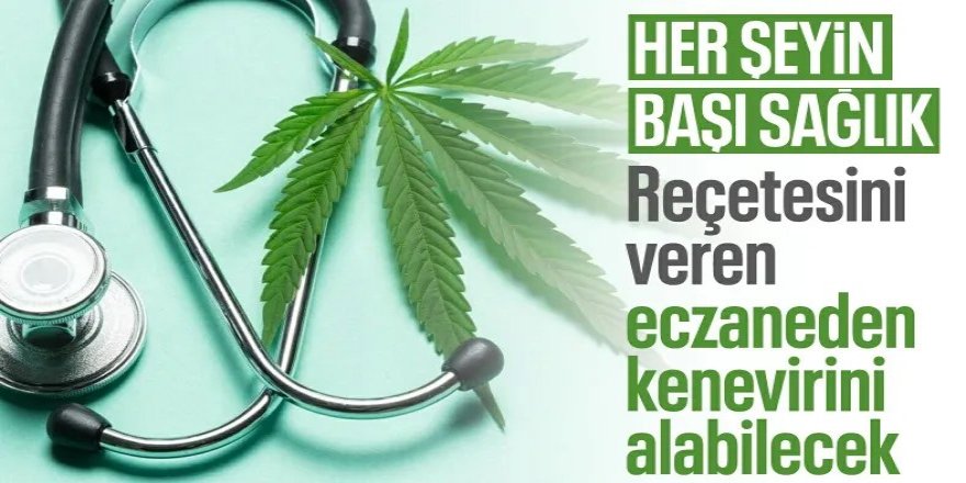 Tıbbi kenevir teklifi yasalaştı: Süreç nasıl işleyecek?