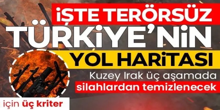 Silah bırakan PKK'lılar için süreç nasıl işleyecek?