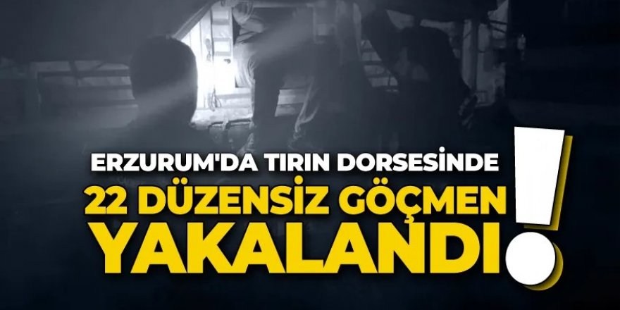 Erzurum'da TIR dorsesinde yakalandılar