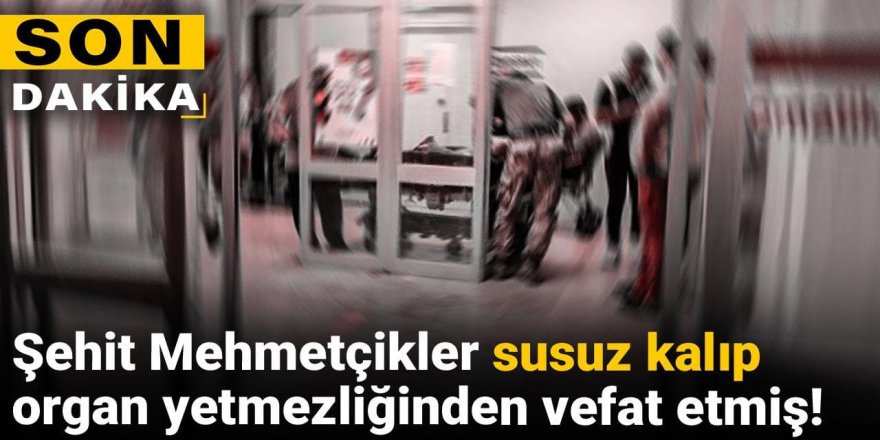 Şehit Mehmetçikler susuz kalıp organ yetmezliğinden vefat etmiş!