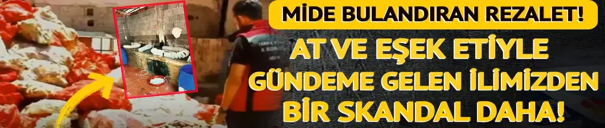 Mide bulandıran rezalet