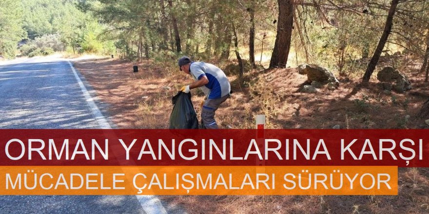 Bodrum'da Orman Yangınlarına Karşı Mücadele Çalışmaları Sürüyor: