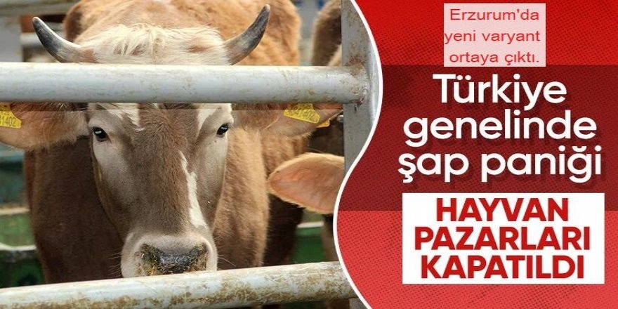 Erzurum'da yeni varyant ortaya çıktı.