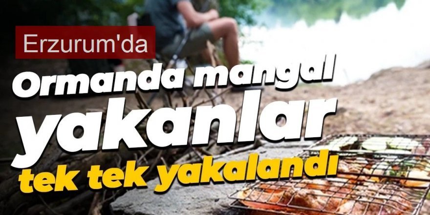 Erzurum'da mangal yakanlara ceza yağdı: 11 kişi yakalandı