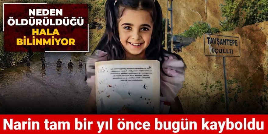 Narin tam bir yıl önce bugün kayboldu! Neden öldürüldüğü hala bilinmiyor
