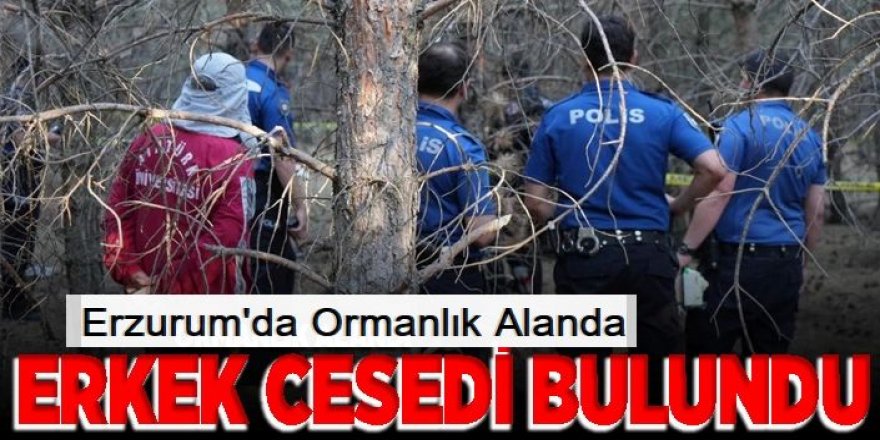 Erzurum’da Ormanlık Alanda Ceset Bulundu