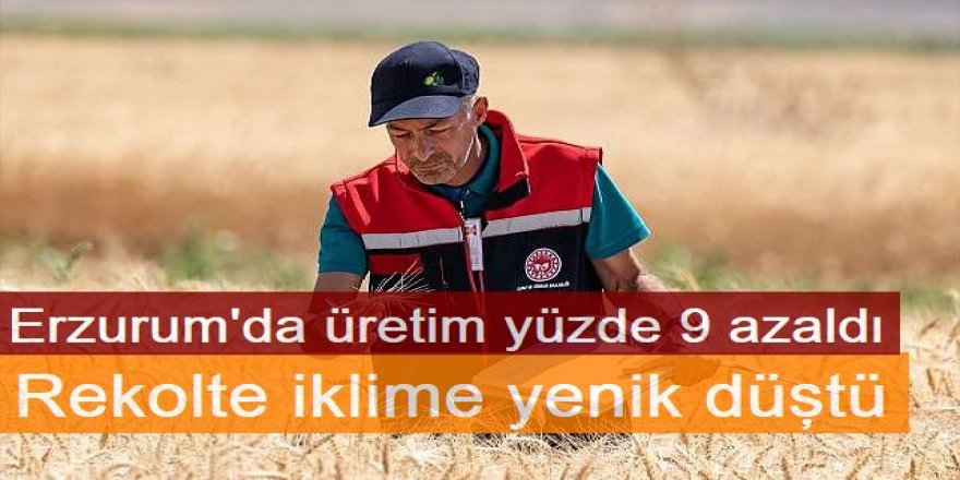 Erzurum'da Rekolte iklime yenik düştü
