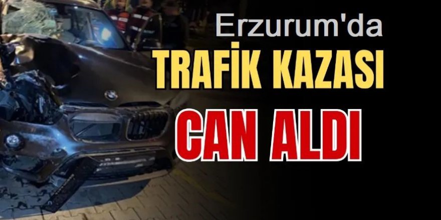 Aşkale'de Kamyonetin çarptığı genç yaşamını yitirdi