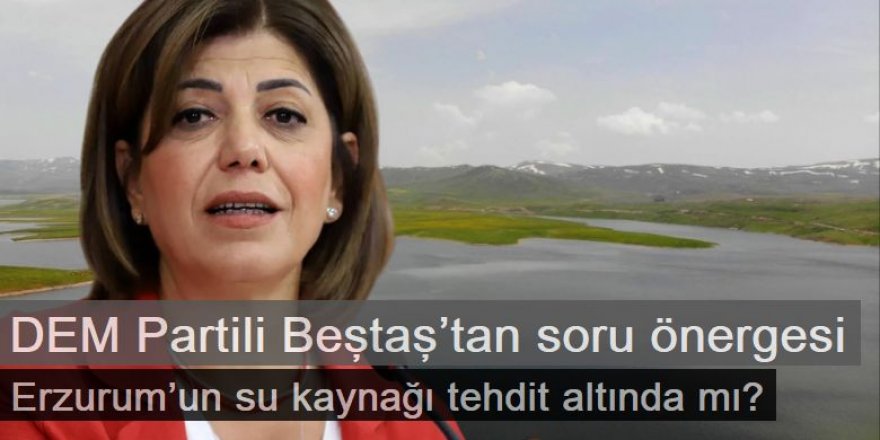 DEM Partili Beştaş’tan soru önergesi