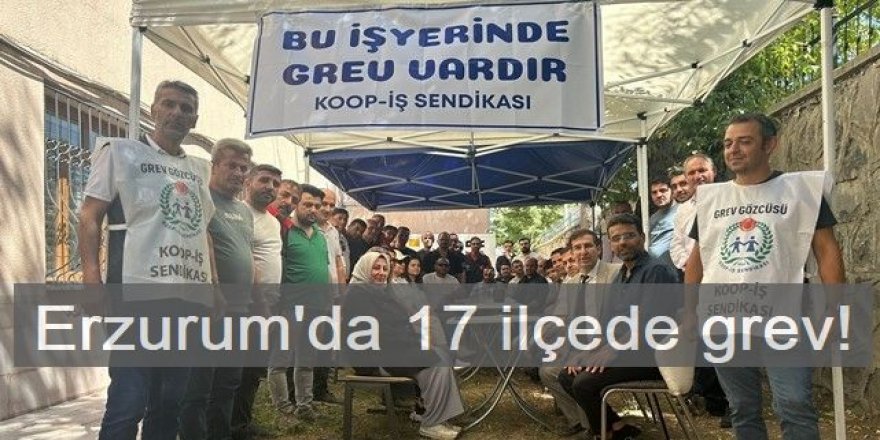 Erzurum'da 17 ilçede grev!