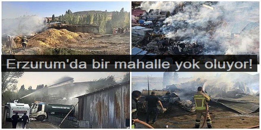 Erzurum'da bir mahalle yok oluyor!