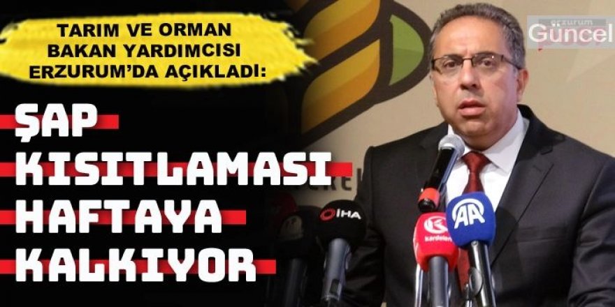 Bakan Yardımcısı Erzurum'da açıkladı: Şap kısıtlaması kalkıyor