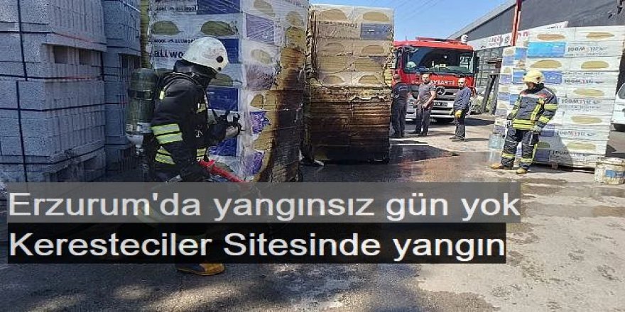 Erzurum'da Keresteciler Sitesinde yangın