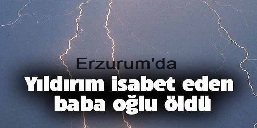 Erzurum'da Yıldırım isabet eden baba ve oğlu öldü