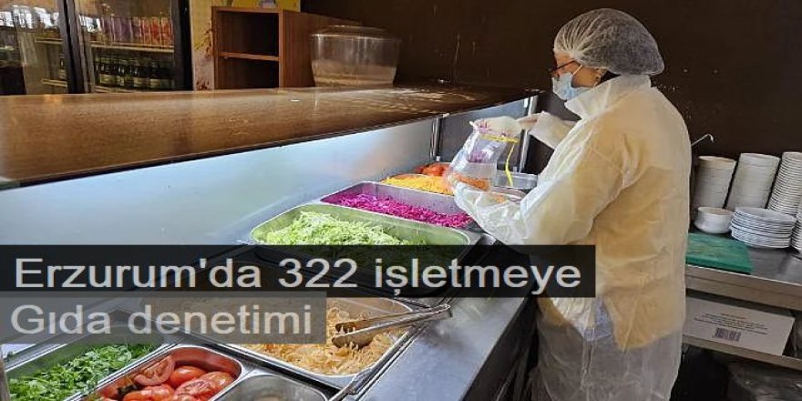 Erzurum'da 322 işletmeye gıda denetimi