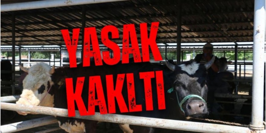 Erzurum ve çevre illerde: Hayvan pazarları yeniden açıldı