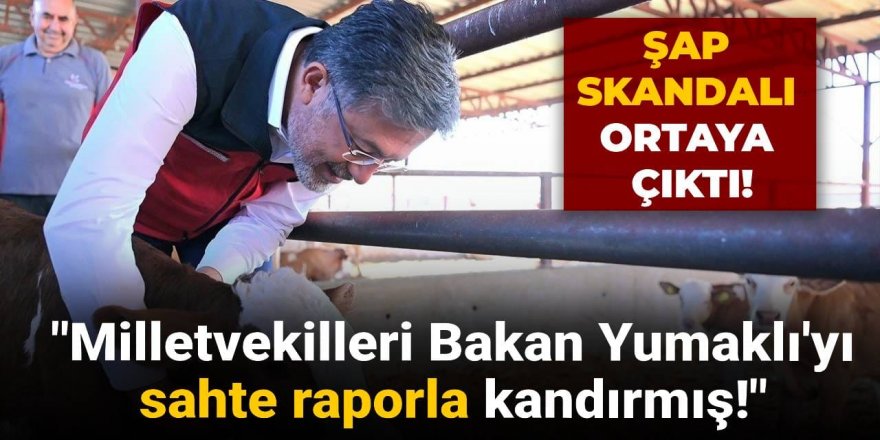 Şap skandalı ortaya çıktı: "Bakan Yumaklı sahte raporla kandırıldı"