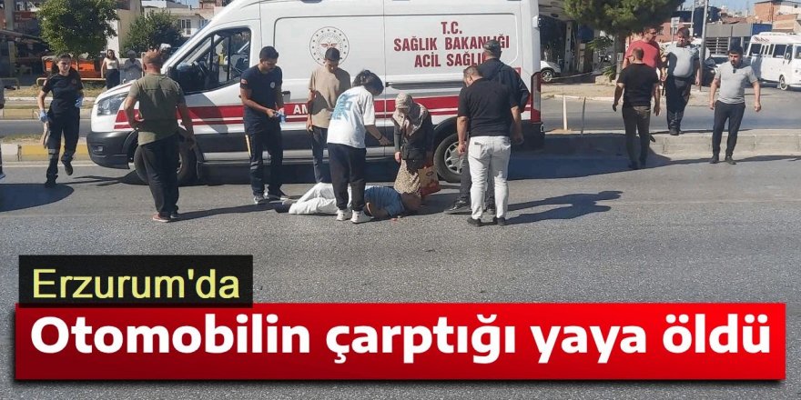 Erzurum'da Otomobilin çarptığı yaya öldü