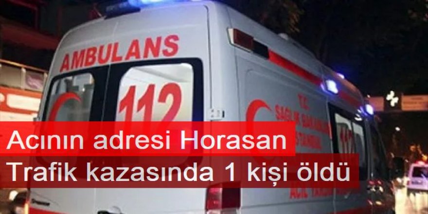 Horasan'da Trafik kazasında 1 kişi öldü