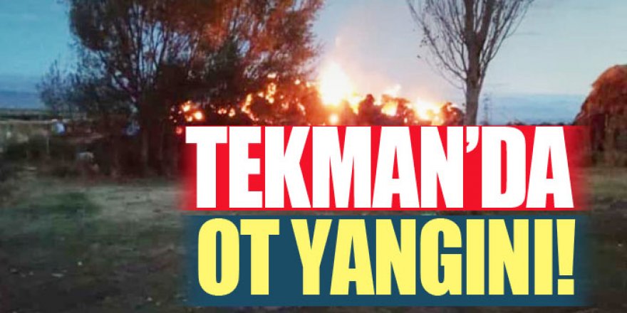 Tekman'da Ot yangınında 2 bin 500 balya kül oldu