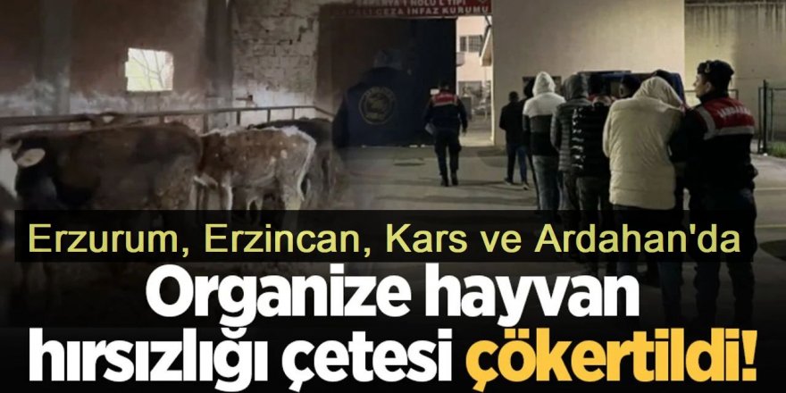 Erzurum ve 3 ilde 20 milyon TL’lik nitelikli dolandırıcılık operasyonu