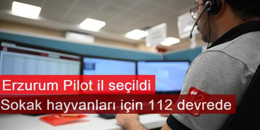 Erzurum'da başıboş hayvanlar için 112 aranabilecek