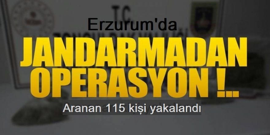 Erzurum'da Jandarma araması olan 115 kişiyi yakaladı