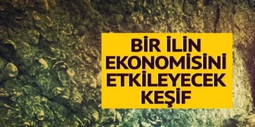 Erzurum'da  servet bulundu: Tam 200 milyon yıllık