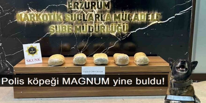 Erzurum'da Polis köpeği MAGNUM yine buldu!