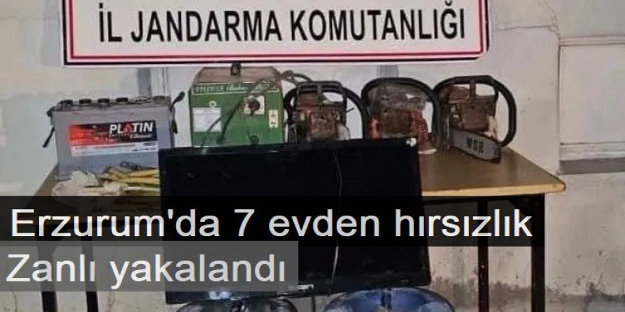 Erzurum'da 7 evden hırsızlık yaptı