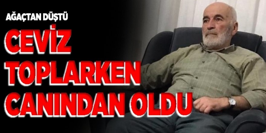 Erzurum'da Ceviz ağacından düşen kişi hayatını kaybetti