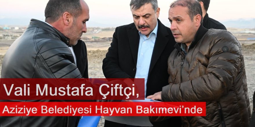 Vali Mustafa Çiftçi, Aziziye Belediyesi Hayvan Bakımevi’nde İncelemelerde Bulundu