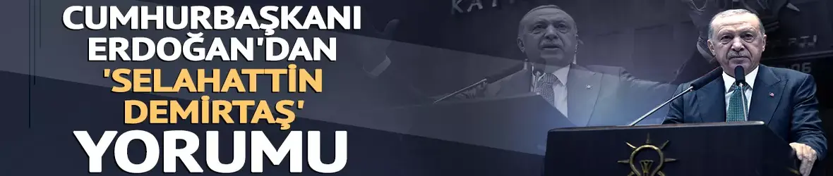 Cumhurbaşkanı Erdoğan'dan Selahattin Demirtaş yorumu