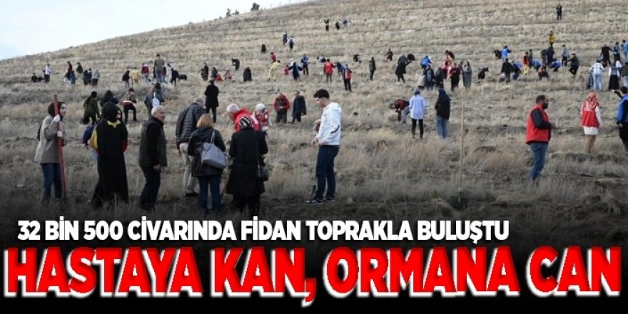 “Hastaya Kan, Ormana Can” binlerce fidan dikildi