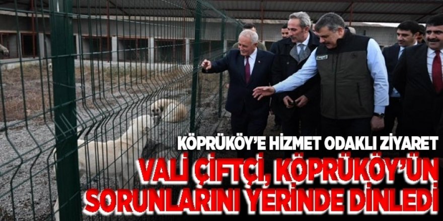 Vali Çiftçi, Köprüköy’de incelemelerde bulundu