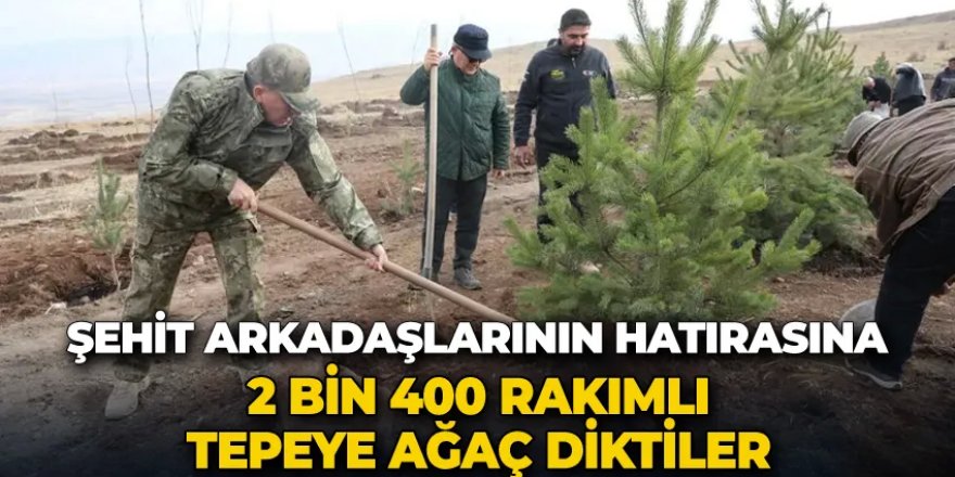 Erzurum'da Şehit arkadaşlarının hatırasına 2 bin 400 rakımlı tepeye fidan diktiler