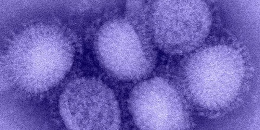 Kuzey Yarımküre'de 'H3N2' alarmı!