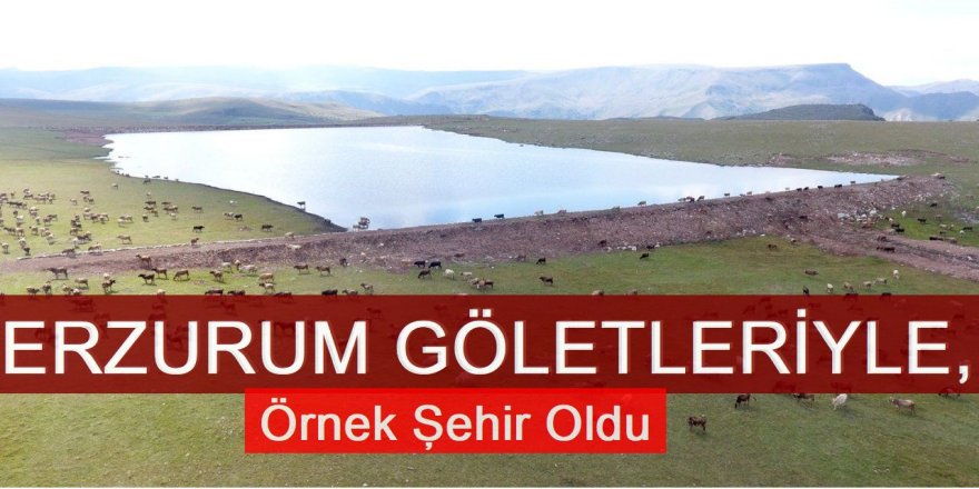 Erzurum göletleriyle örnek şehir oldu