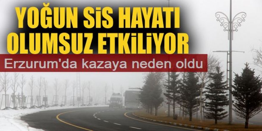 Erzurum'da yoğun sis etkili oluyor