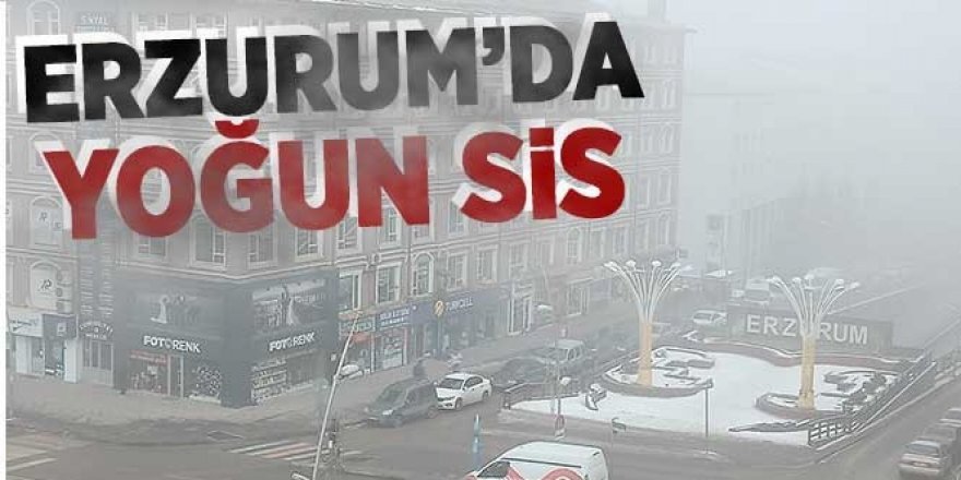 Erzurum'da yoğun sis ve soğuk hava etkisini sürdürüyor