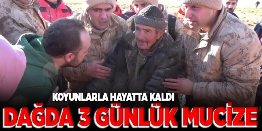 Erzurum'da Kayıp çoban koyunların arasına sığınarak hayatta kalmış