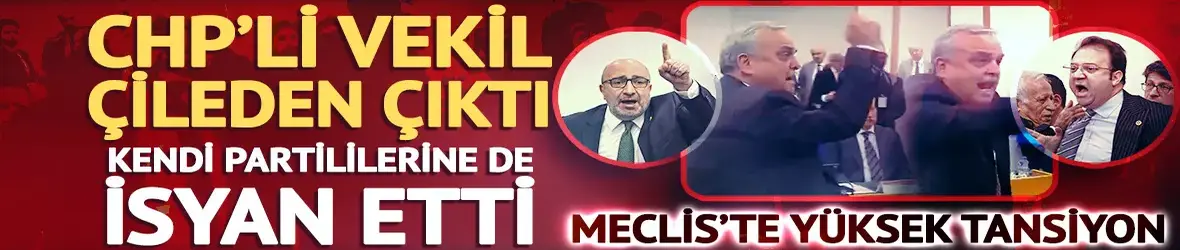 CHP'li vekil kendi partililerine isyan etti