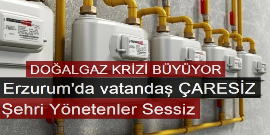 Erzurum kaderine terk edildi: Doğalgaz krizi büyüyor