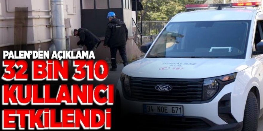 Palen'den açıklama: 32 bin 310 kullanıcı etkilendi