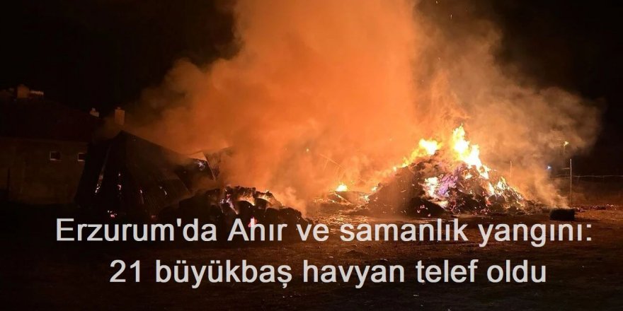 Erzurum'da Ahır ve samanlık yangını: 21 büyükbaş havyan telef oldu