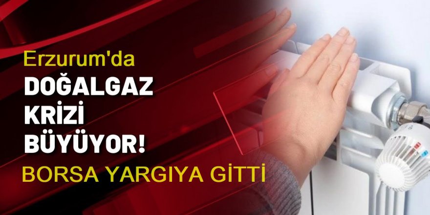 Erzurum'da doğalgaz krizi yargıya taşındı