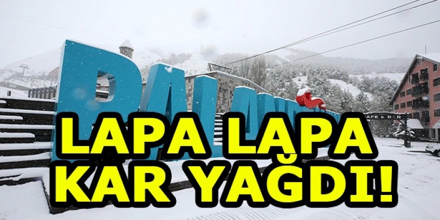 Erzurum'a Lapa lapa kar yağdı